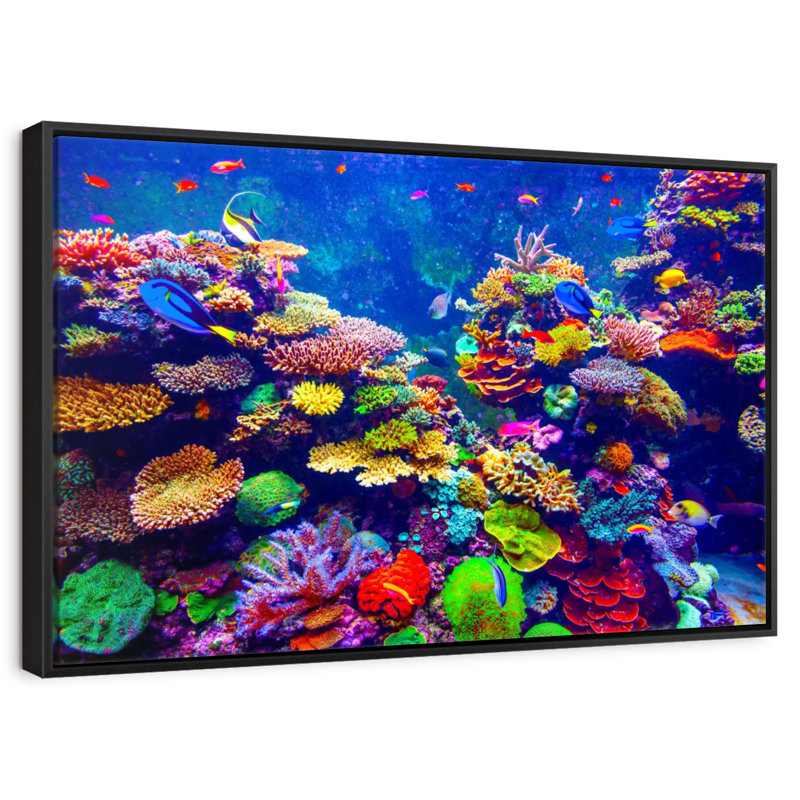Paysage vibrant sous l'eau, 19 po x 13 po, Cadre flottant noir