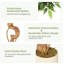 Plant-457073755