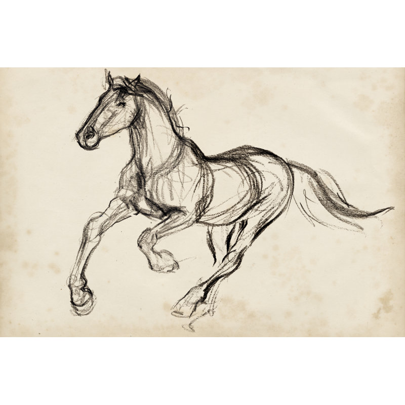 Gestural Appaloosa I by Jennifer Paxton Parker - Drawing, 30 cm H x 46 cm W, Wrapped Canvas