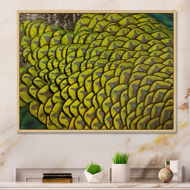 «Green Peacock Feathers II», reproduction d'art sur toile, H 12 po x l 20 po x P 1 po, Cadre naturel flottant