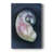 Lost Shell I -Gallery Wrapped Cavas-2057284214