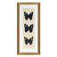 Flutter 5 Print by Todaro, Katie
