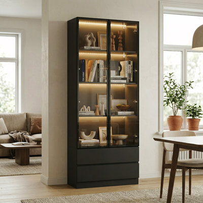 Display Cabinet With Adjustable Lights And Tempered Glass Door