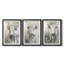ANIMALS Series Cxxxx - Impression encadrée sur mesure de qualité supérieure - 3 pièces-421047058-421047056