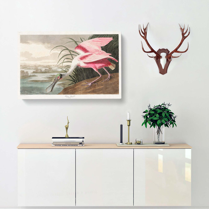 Roseate Spoonbill by John Audubon - Wrapped Canvas Print, 40cm H x 60cm W x 3cm D