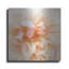 «Promise Rose» par Rebecca Swanson-1433592513