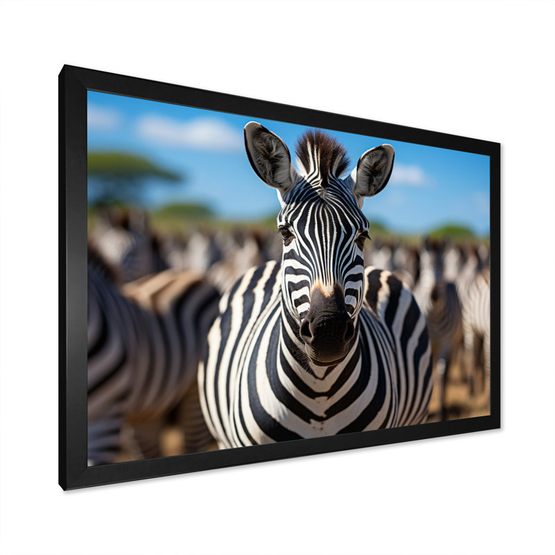 Zèbres d'Afrique, impression sur toile, H 24 po x l 32 po x P 1 po, Cadre photo noir