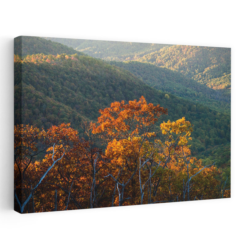 Oaks In Autumn Shenandoah National Park Virginia USA by Chris Murray - Wrapped Canvas Print, 60.96 cm H x 91.44 cm W