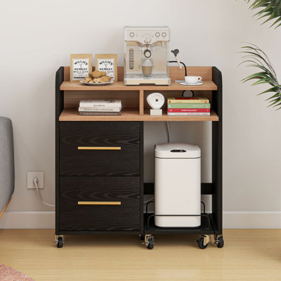 Asharra 35'' W File Cabinet with Power Outlets, 2-Drawer & Printer Stand