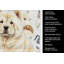 Serviette de cuisine Coffee Bar-1234934435