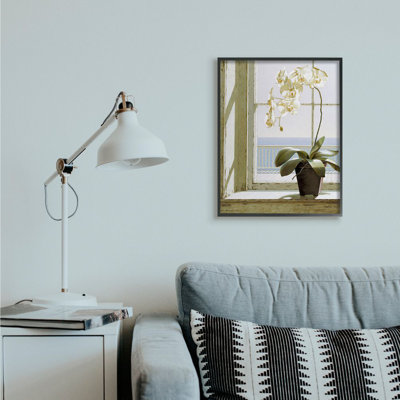 " White Orchid in Window " Graphic Art Print
