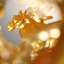 Rising Through Heaven and Earth Crystal Horses