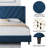 Permelia Upholstered Bed Tufted Headboard with Wing Side-1067102969-1016116443