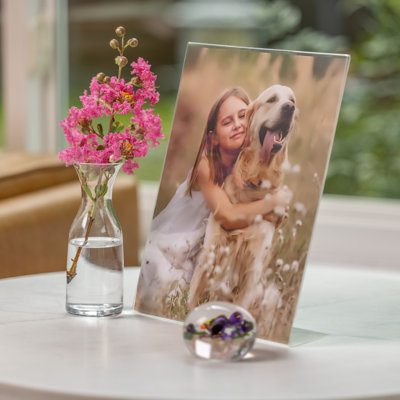 Cadre de table ou porte-affiche autoportant en acrylique transparent - 12 cadres photo
