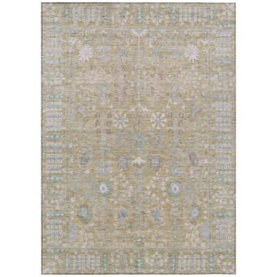 Machine Washable Indoor/Outdoor Brenden ACN2231 Global Rug