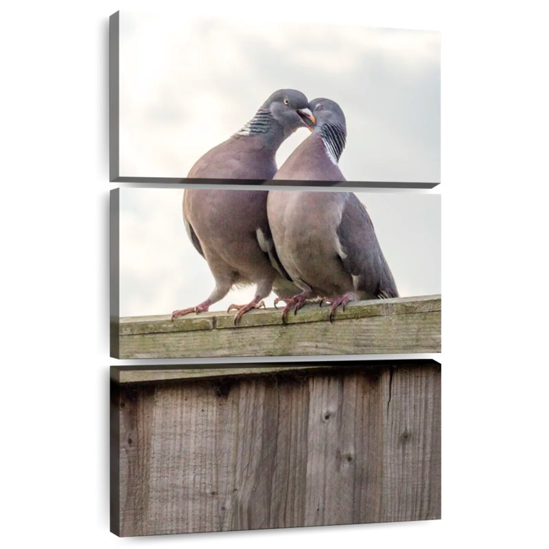 Cour de Brampt Pigeon, H 50 po x l 32 po
