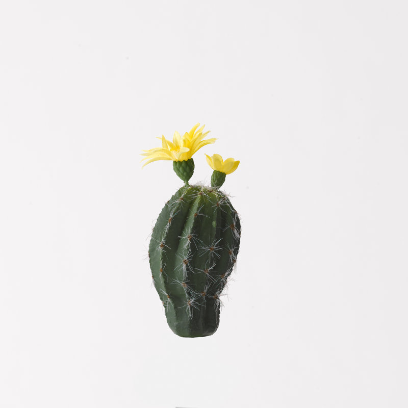 6'' Faux Oval Cactus Plant