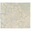 Effervescence Polka Dots Area Rug in Beige/Gray-40706249