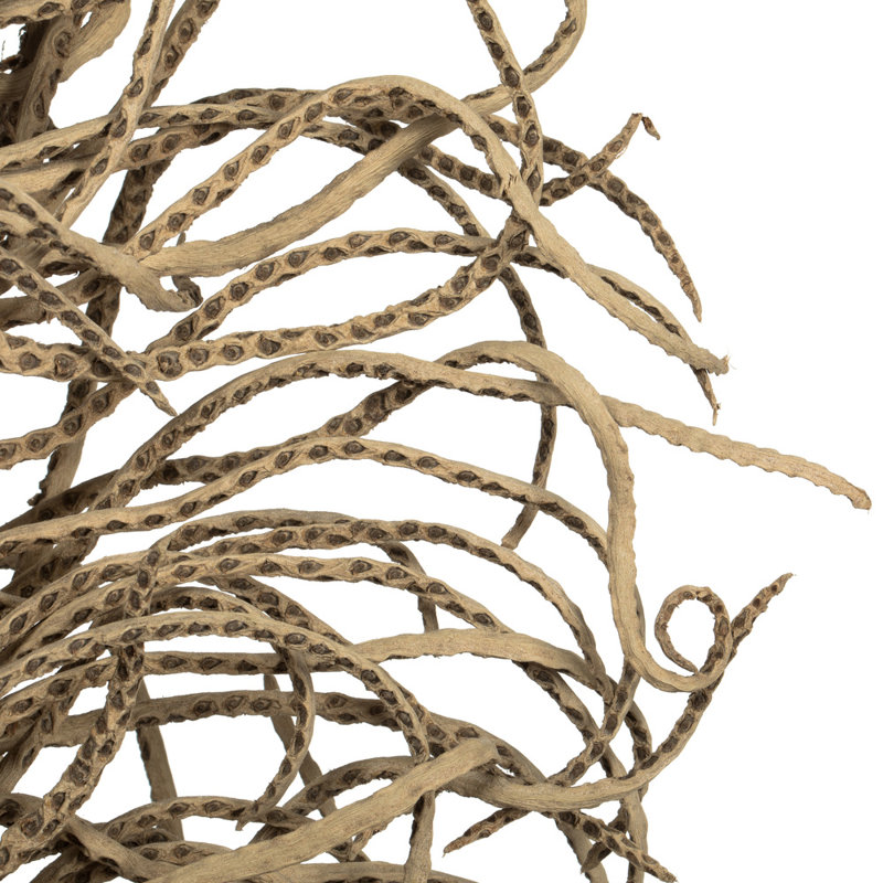 Faux Medusa Branch