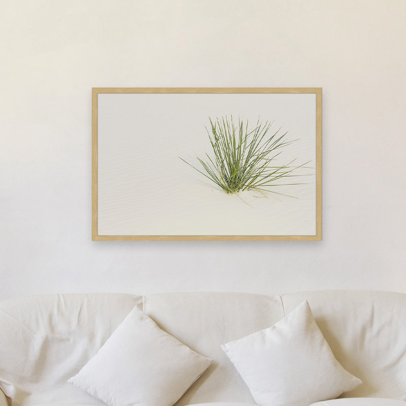« vie inattendue », reproduction de photo encadrée, 24 po x 36 po