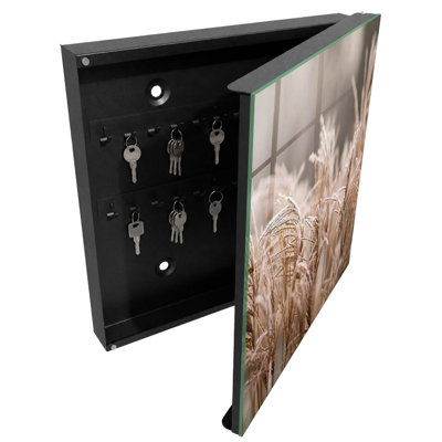 Key box for wall, Opens to the right, 30x30x5, Black, Delicate grasses covered with frost in warm shades, 