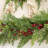 Acala 5" Berry Christmas Garland