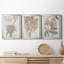 «Sepia Exotic Plants IV», ensemble de 3 peintures sur toile encadrées-11060931-11060930