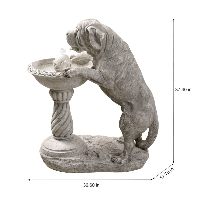 Fontaine de bain chien oiseau