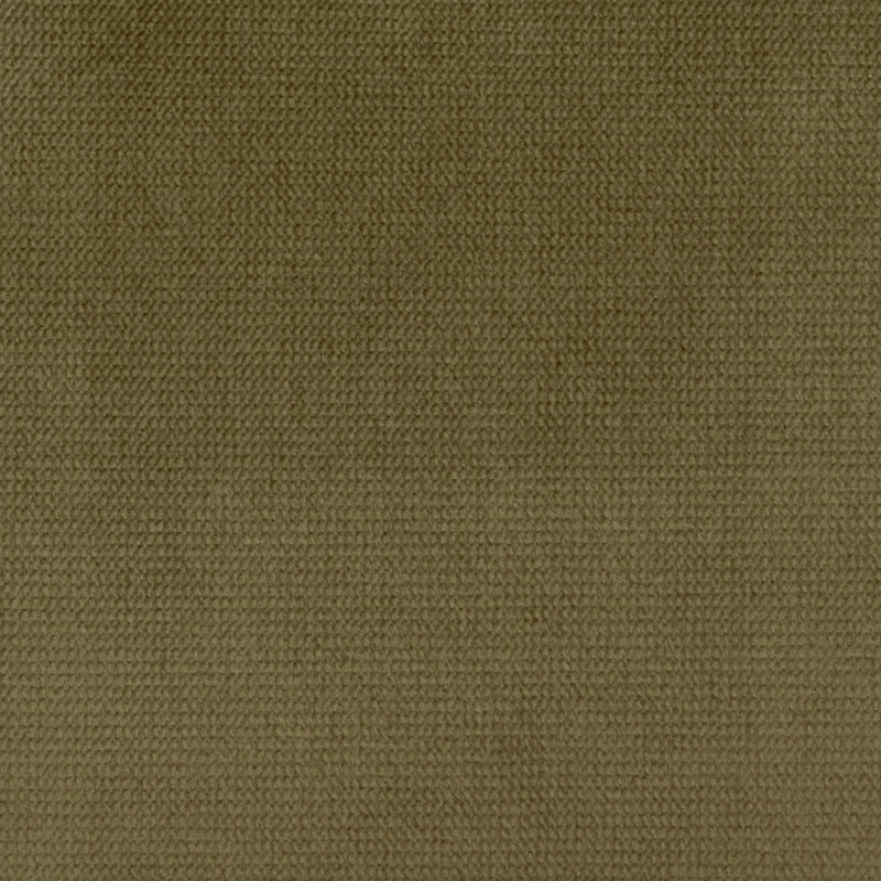 Velours de satin de coton Belvedere-Byron, Oeil de tigre
