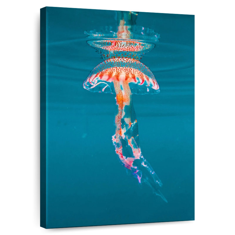 Brampt Jellyfish Under The Surface, 48" H x 32" W
