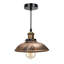 Grubbs 1 - Light Dome Pendant-1018235024