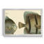 «Bloch Antique Fish IV», impression sur toile encadrée-2104340398-2104340396