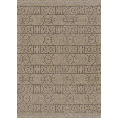 Tapis intérieur / extérieur brun Joleigha