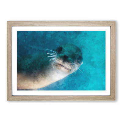 Face of a Seal - Framed Print