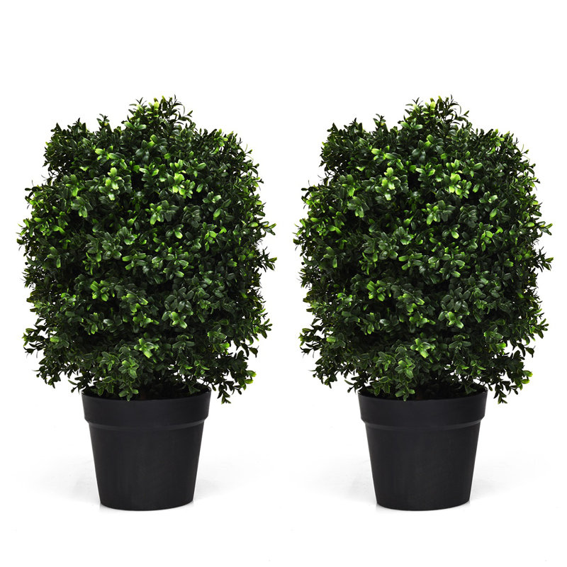 24'' Faux Boxwood Tree in Planter