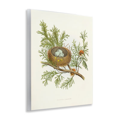  «Forest Bird Nest on Branch» par Tina Higgins Designs, Inc.