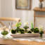 Bol en bois pour décoration de table basse, blanc rustique-138534055-138534056