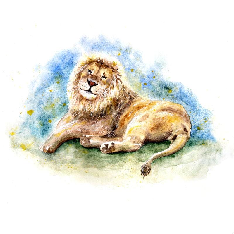 Lazy Lion - Peinture, H 12 po x l 12 po, Non, Toile tendue