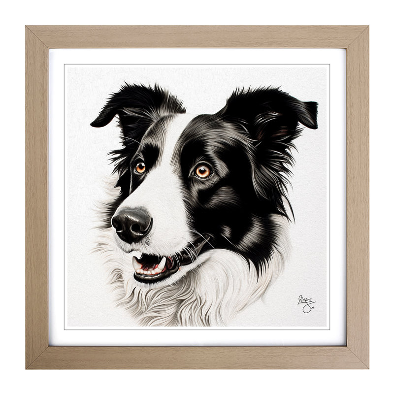 Border Collie Drawing - Framed Print, Oak