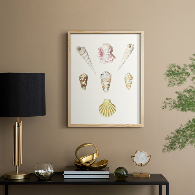 Pastel Knorr Shells I, reproduction encadrée - bois massif, H 30 po x l 24 po