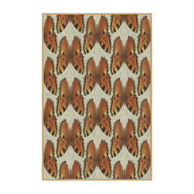 Indoor Rug