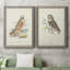 Toile encadrée de qualité supérieure Hawk Owl - prête à être accrochée-1109121184-1109121192