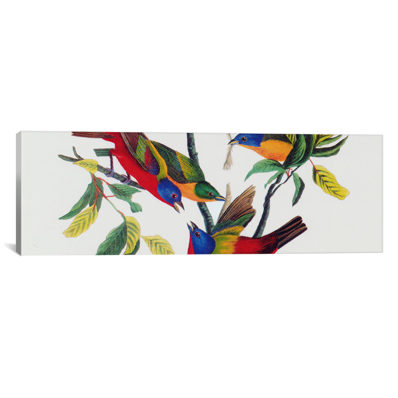 Painted Bunting - Wrapped Canvas Print, 12" H x 36" W x 1.5" D