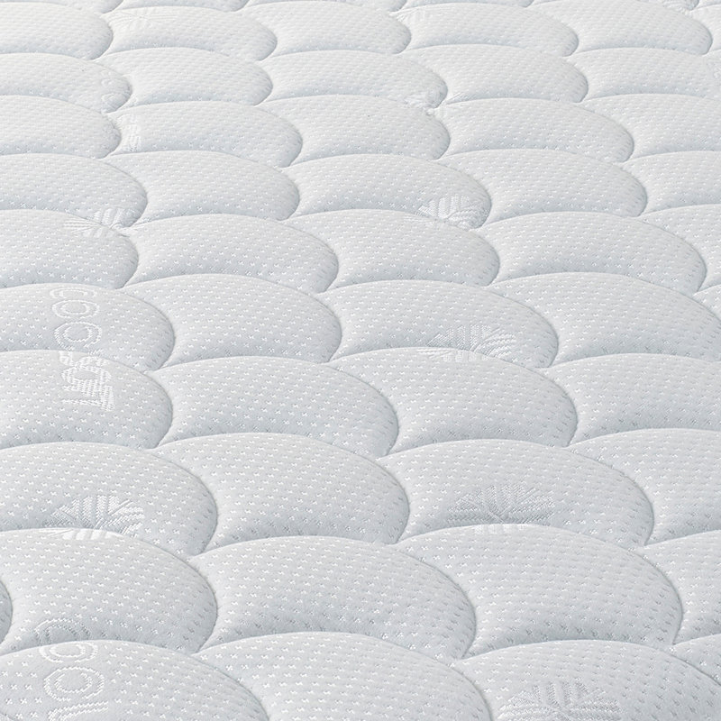Wayfair Sleep Foam Mattress, Double (4'6)
