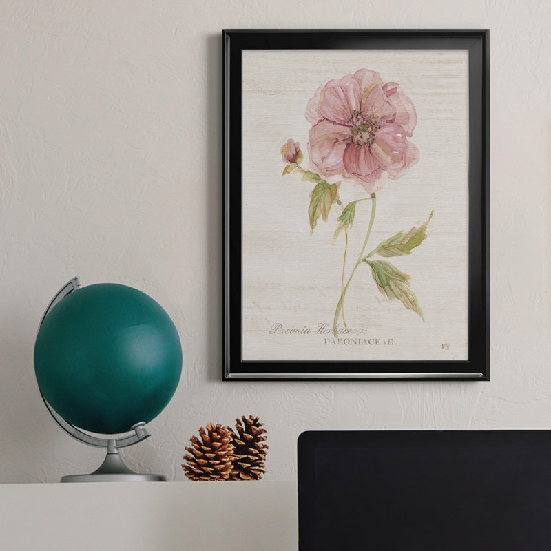 Soft Peony - peinture sur toile encadrée, Noir, H 18,5 po x l 24,5 po x P 1,5 po