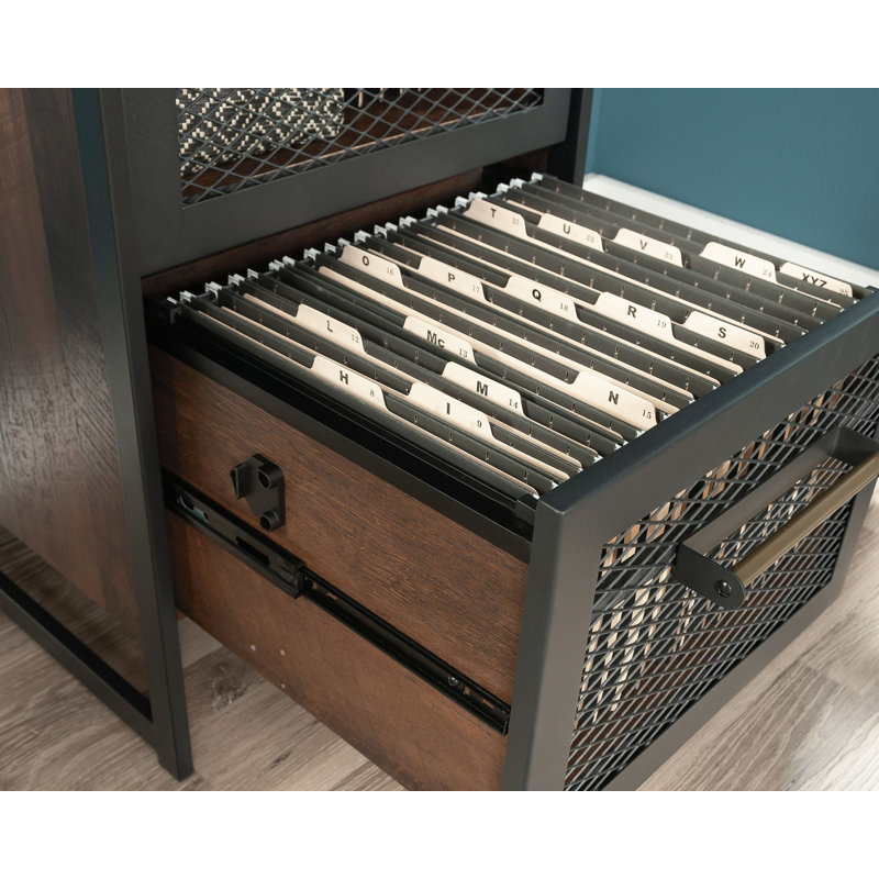 Prochaska Storage Bookcase