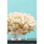 Commodore Table Vase