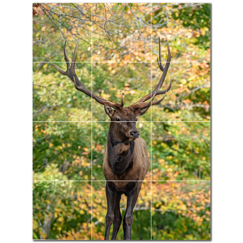 Murale décorative cerf en céramique 6 po x 6 po Deer Photo