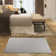 Zapheira Solid Color Machine Woven Polyester Area Rug in Gray