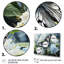 «Incy Blue Butterfly Haven I», reproduction-1854856671-1854856672
